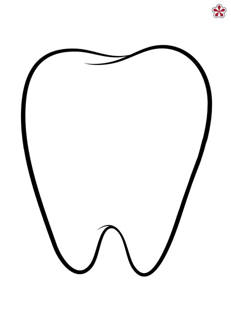 tooth template|free printable tooth image.